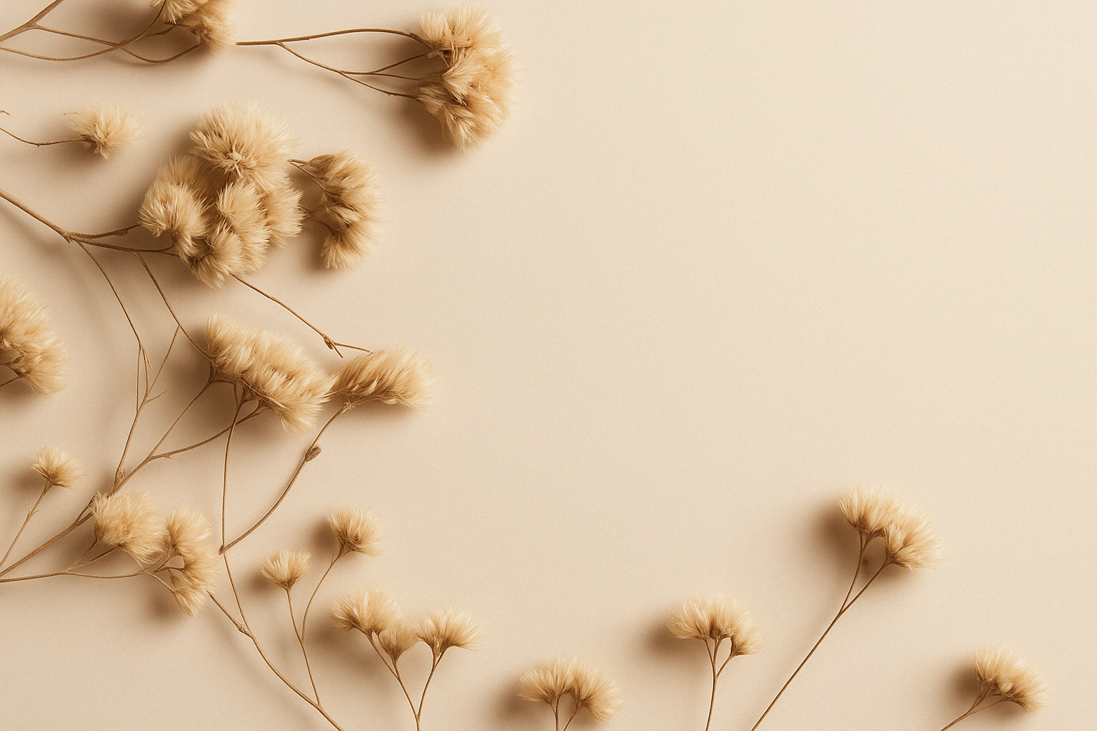 Bloom Chords - Fondo musical para eventos